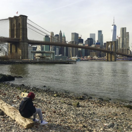 Brooklyn Heights, Dumbo and The Bridge